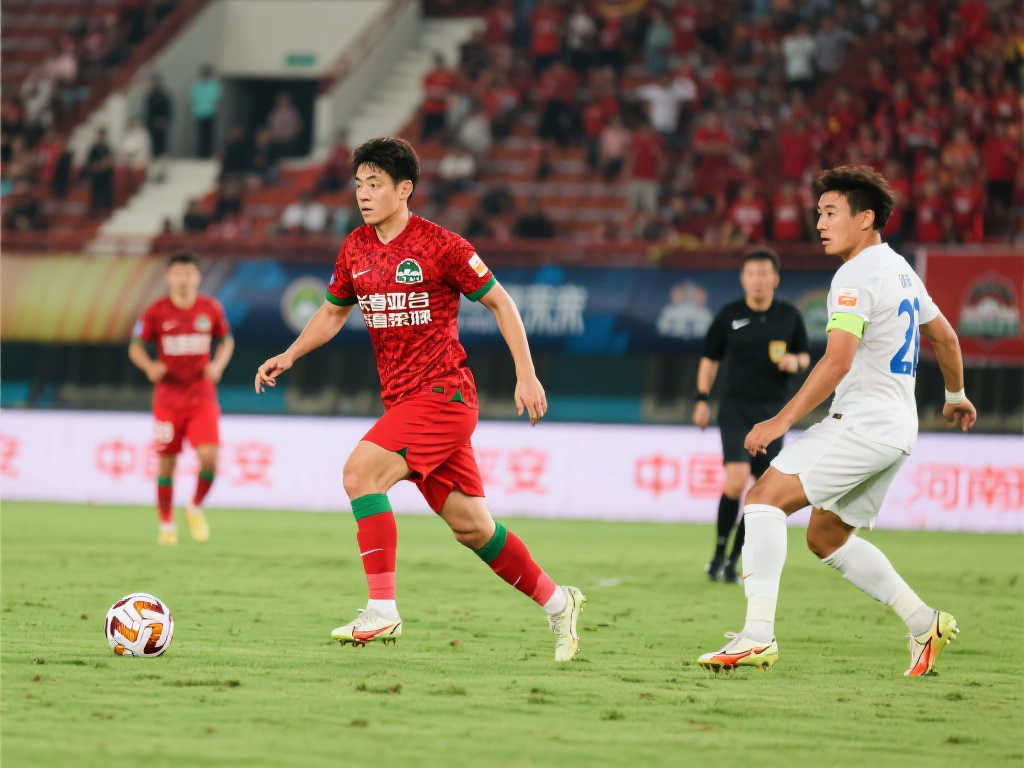 这支法甲豪 这支法甲豪