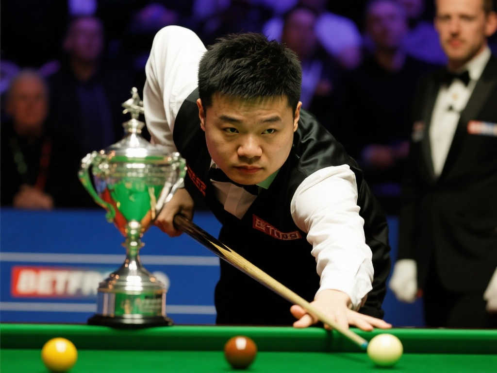 浙江队的挑 浙江队的挑